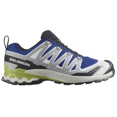 Chaussure de course Salomon XA Pro 3D V9 Gris/Bleu