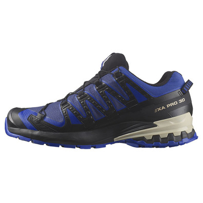 Chaussure Salomon XA PRO 3D V9 GTX Bleu