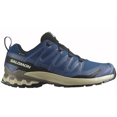 Chaussure Salomon XA PRO 3D V9 GTX Bleu/Beige