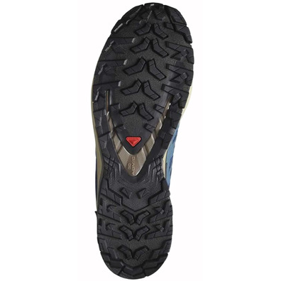 Chaussure Salomon XA PRO 3D V9 GTX Bleu/Beige