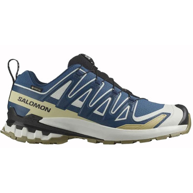 Chaussure Salomon XA PRO 3D V9 GTX Bleu/Beige/Blanc