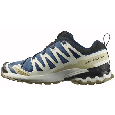 Chaussure Salomon XA PRO 3D V9 GTX Bleu/Beige/Blanc