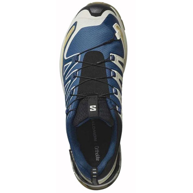 Chaussure Salomon XA PRO 3D V9 GTX Bleu/Beige/Blanc