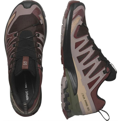 Chaussure Salomon XA PRO 3D V9 GTX marron