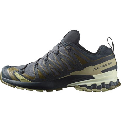 Chaussure Salomon XA Pro 3D V9 GTX Gris/Olive
