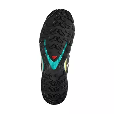 Chaussure Salomon XA PRO 3D V9 GTX Multicolore