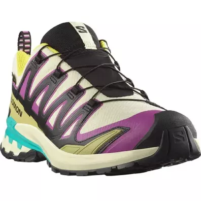 Chaussure Salomon XA PRO 3D V9 GTX Multicolore