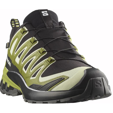 Chaussure Salomon XA PRO 3D V9 GTX Noir/Vert