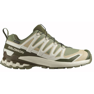 Chaussure Salomon XA PRO 3D V9 GTX Vert/Beige