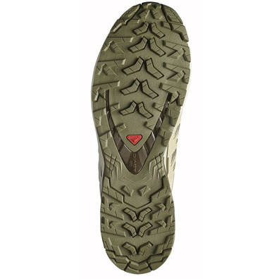 Chaussure Salomon XA PRO 3D V9 GTX Vert/Beige