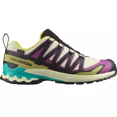 Chaussure Salomon XA PRO 3D V9 GTX W Multicolore