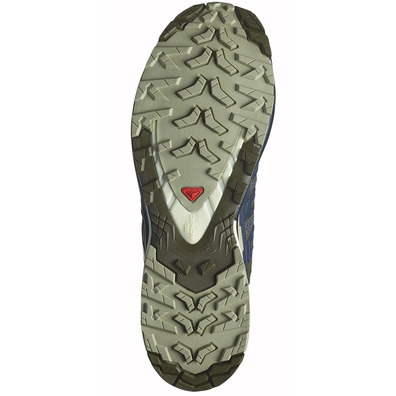 Chaussure Salomon XA PRO 3D V9 Marine/Or