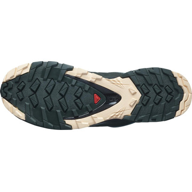 Chaussure Salomon XA Wild W Turquoise / Rose