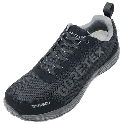 Chaussure Treksta Olympus Low GTX Noir