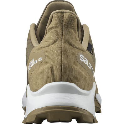 Chaussures Salomon Alphacross 3 GTX Marron / Beige
