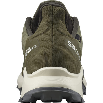 Chaussures Salomon Alphacross 3 GTX Vert