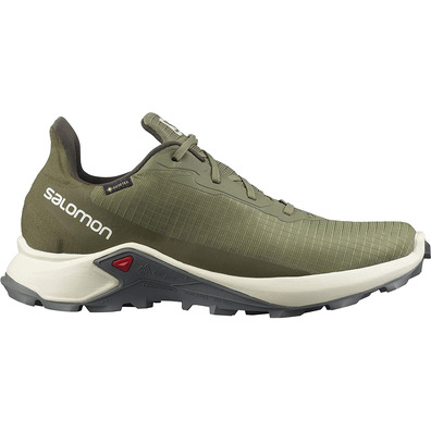 Chaussures Salomon Alphacross 3 GTX Vert