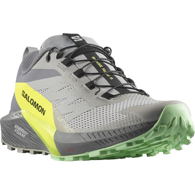 Chaussures Salomon Sense Ride 5 Gris/Lime