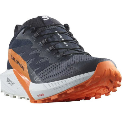 Chaussures Salomon Sense Ride 5 GTX Marine/Orange