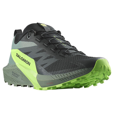 Chaussures Salomon Sense Ride 5 Nonir/Vert