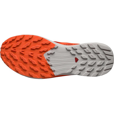 Chaussures Salomon Sense Ride 5 Rouge/Orange