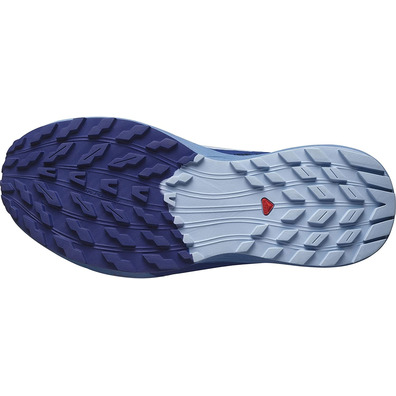 Chaussures Salomon Sense Ride 5 W Bleu