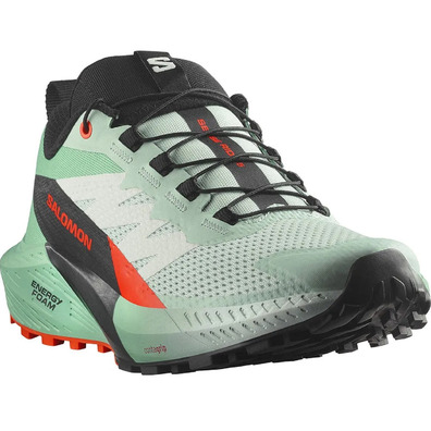 Chaussures Salomon Sense Ride W Vert
