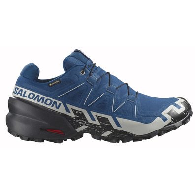 Chaussures Salomon Speedcroos 6 GTX Bleu/Argent