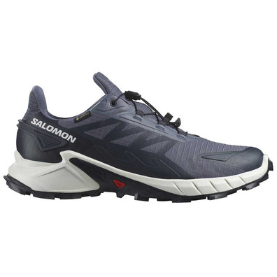 Chaussures Salomon Supercross 4 GTX Gris