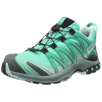 Zapatillas Salomon Xa Pro 3D GTX W Vert