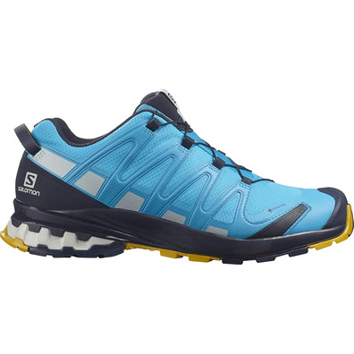 Chaussures Salomon XA PRO 3D V8 GTX bleu ciel