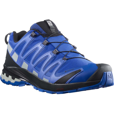 Chaussures Salomon XA PRO 3D V8 GTX Bleu / Gris