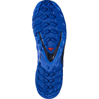Chaussures Salomon XA PRO 3D V8 GTX Bleu / Gris