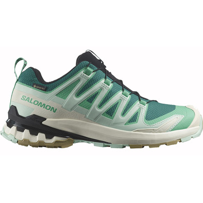 Chaussures Salomon XA PRO 3D V9 GTX W Vert/Aqua