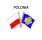 Pin Metal Flag Poland Way Santiago