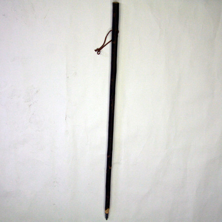 Alezan Pilgrim Bass corteza