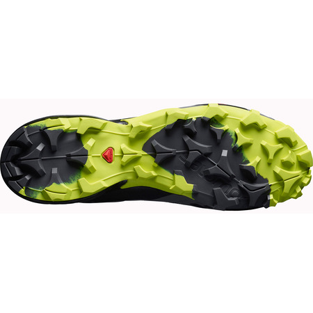 Salomon Cross Hike Mid GTX Gris/Lima Boot