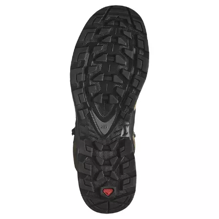 Chaussures Salomon Quest 4 GTX Noir/Marron