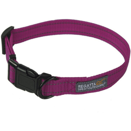 Collier chien Regatta Comfort
