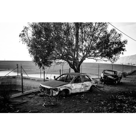 L&#39;île résiliente - Delmi Álvarez