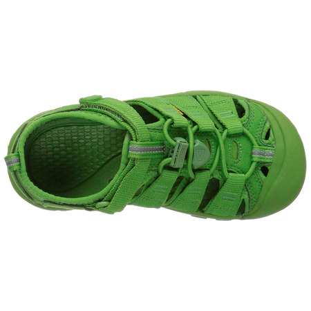 Sandalia Keen Newport H2 Fluorite verte jeune