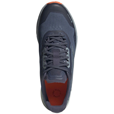 Adidas Terrex Agravic Flow 2 GTX Gris Chaussure