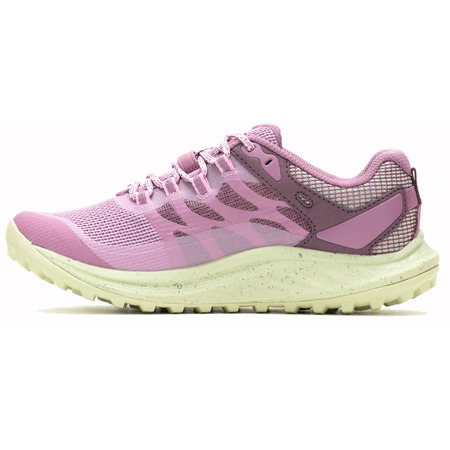 Baskets Merrell Antora 3 GTX W Mauve/Vert
