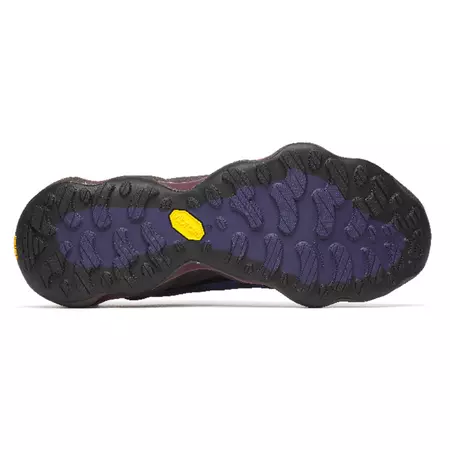 Chaussures Merrell Speedarc Matis GTX W Bordeaux