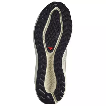 Chaussure Salomon Aero Blaze 3 GRVL GTX W blanche/bleue