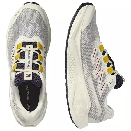 Chaussure Salomon Aero Blaze 3 GRVL GTX W blanche/bleue