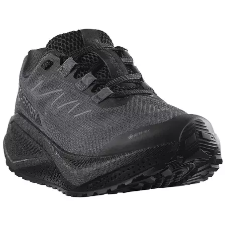 Chaussure Salomon Aero Blaze 3 GRVL GTX W Noire