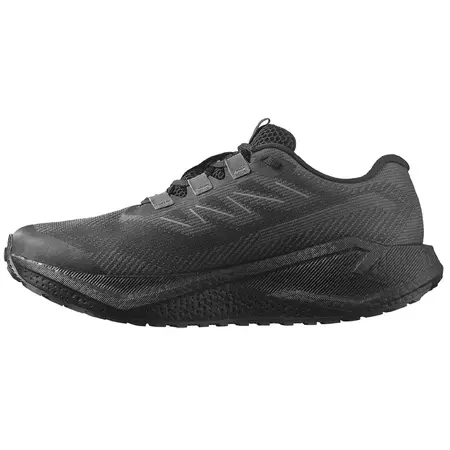 Chaussure Salomon Aero Blaze GRVL GTX noire