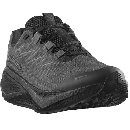 Chaussure Salomon Aero Blaze GRVL GTX noire
