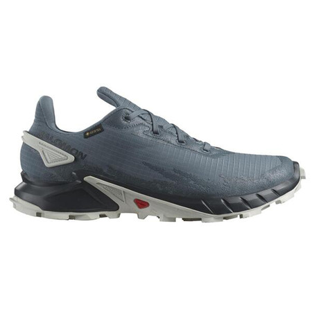 Chaussure Salomon Alphacross 4 GTX Gris